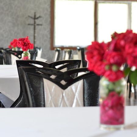 Johnny Hotel Kamenice Kültér fotó